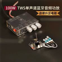 T1001P����100W�{�����l���Ÿߵ����{��TWS������o��TPA3116