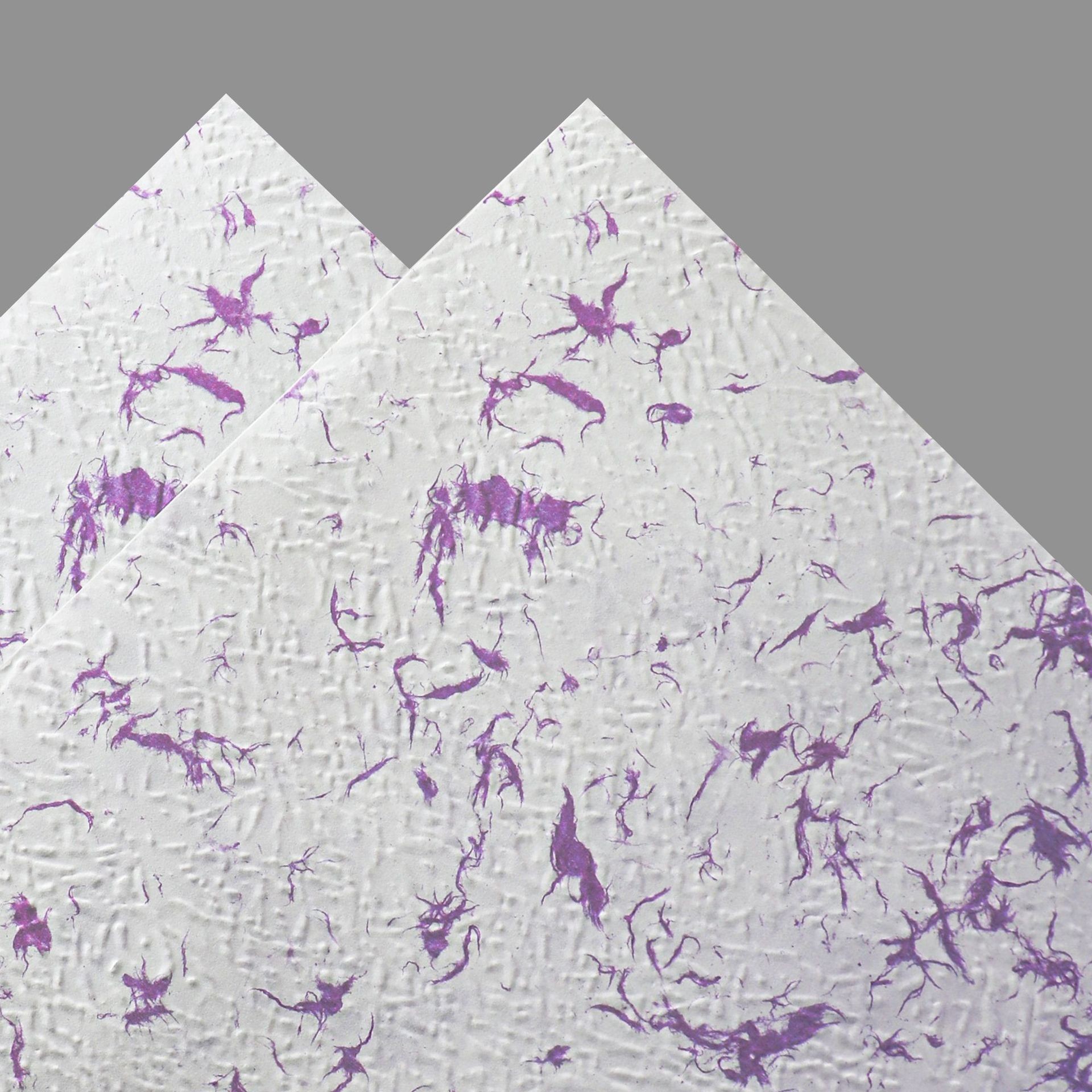 Papel de pétalo desmenuzado de pensamiento de siete colores Papel Dongba Papel floral Papel Fenghua Ramo Papel de embalaje Flores de alta calidad