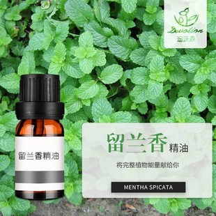 ���m�㾫��Spearmint oil�G�����͆η�����ԭ�����l�����{����޹