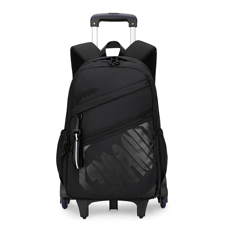 Mochila de pescado natural para niños de grado 3 - 6 con ruedas para subir escaleras, mochila de secundaria secundaria