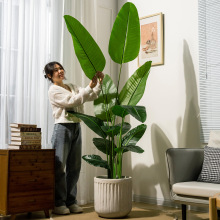 �Gֲ���˽������B�҃������쾰�����٘�ֲ���b���ؔ[������ȸ�