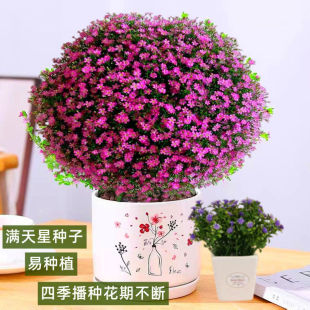 MǷNذ ļ_ױ̨Լͥ҃ ^pܷN