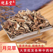 批发中药材 月现草 月见草 产地货源 支持药检 承接大货 规格齐全