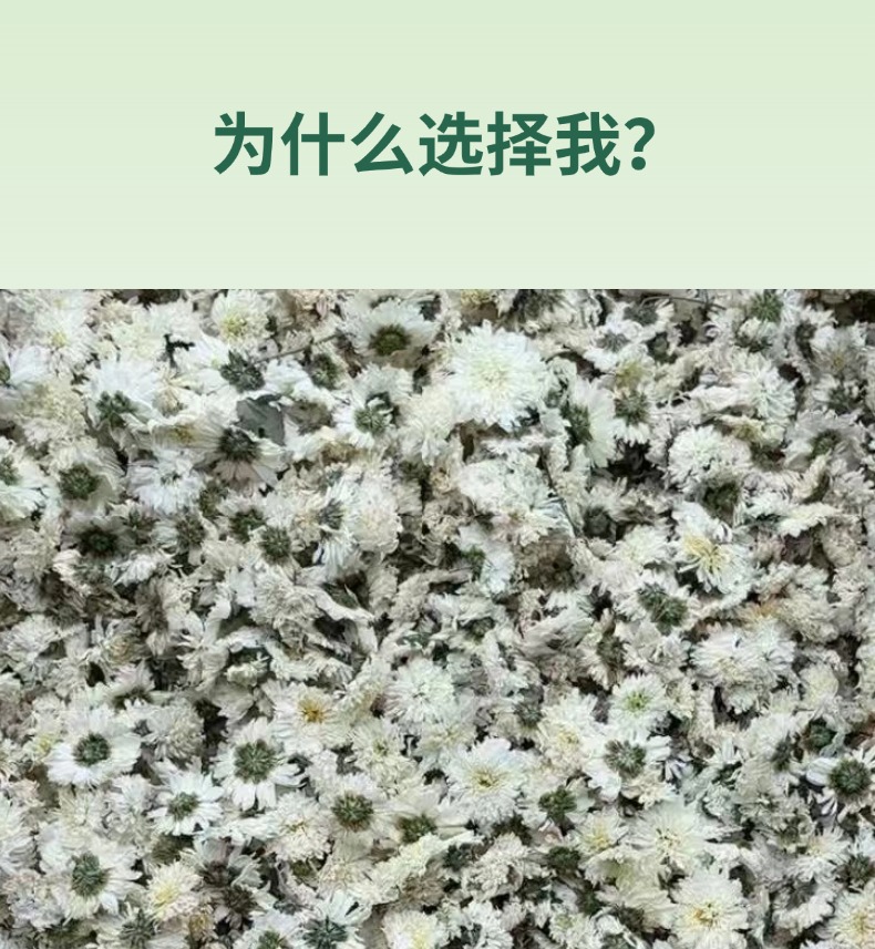 Dried July Chrysanthemum Flower Tea 500g Loose White Chrysanthemum for Herbal Infusion key features
