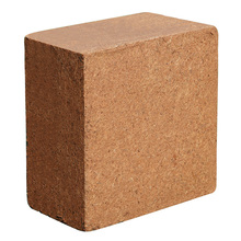 Ҭ�u�I�B���N��ͨ����Ó�}Ҭ����KҮ�u�����������B�������Nֲ��