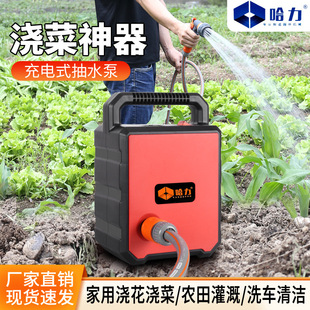 Lithium battery pump electric vegetable watering machine vegetable watering artifact vegetable field watering machine rechargeable flower watering machine vegetable garden