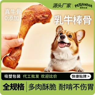 Pet Snacks Cow Stick Bone Cow Leg Bone Dog Molar Stick Tooth Cleaning Bone Air-Dried Cow Bone Crispy Cow Hoof Bone