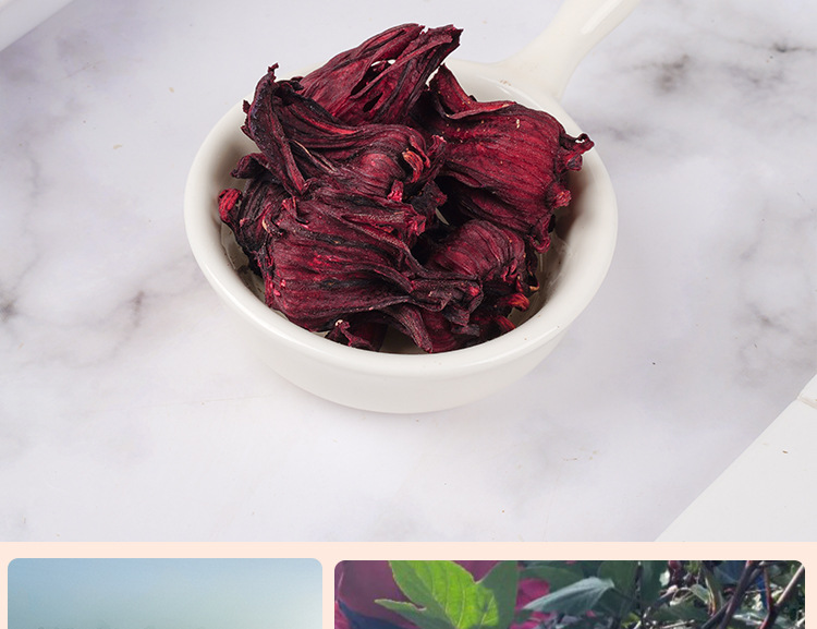 Roselle Hibiscus Tea (Hibiscus sabdariffa) — Whole Dried Calyces, 40g Jar in use