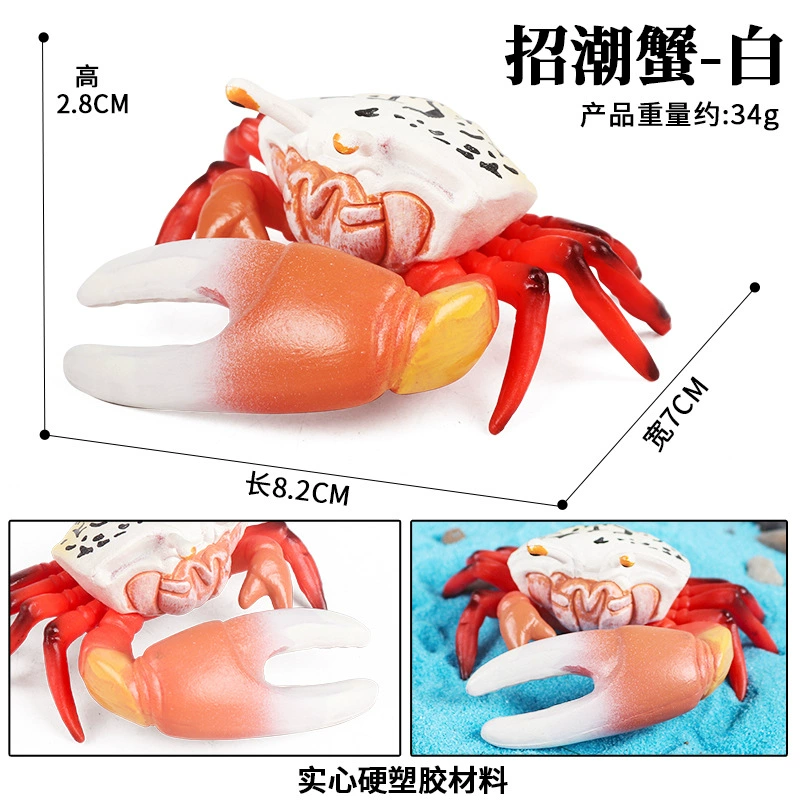 Модель crab/crab king crab трехточечная, имитация реальной жизни морского животного, открытая спина, искусственный рот, детские познавательные игрушки-украшения