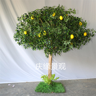 ���晎�ʘ�������Ә��r�Ҙ���@�Lˮ��������ؾG�~���Ĕz����