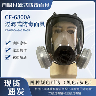 6800A Gas Mask for Protection Against Dust, Poison, Spray Paint, Chemical Exposure, Formaldehyde, and Pesticides, Full-Face Mask