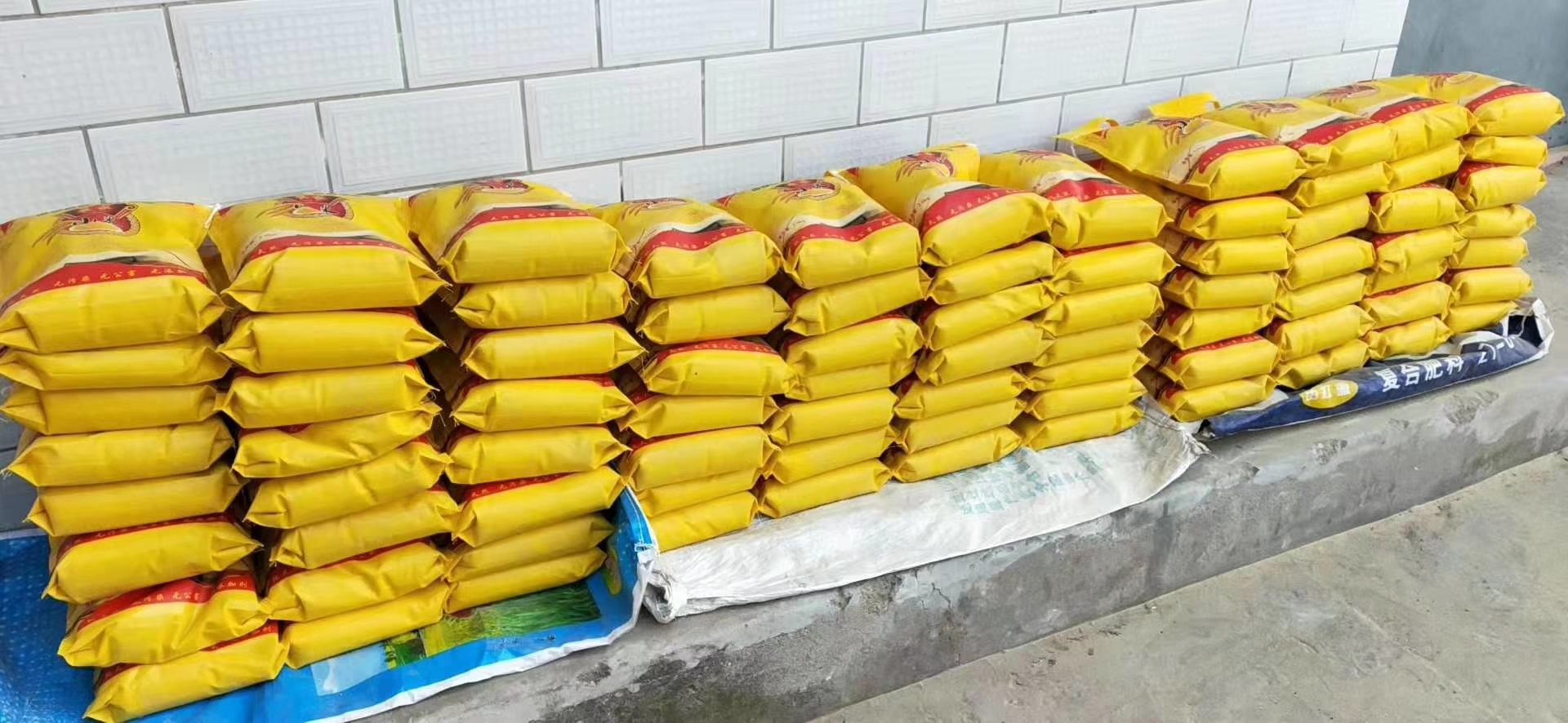 Bomba de mijo plana 2.5kg 5kg bolsa de mijo granja no tejida al por mayor 5kg 10kg en stock