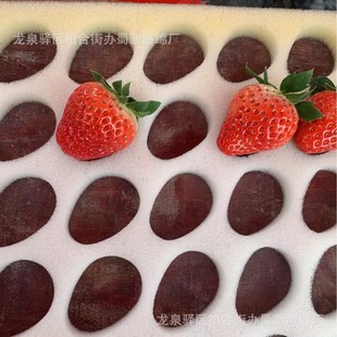 Strawberry Sponge Packaging/Strawberry Buffer Sponge Packaging/Strawberry Loss Prevention Sponge Packaging Strawberry Sponge Lining