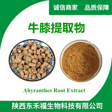 ţϥȡ10:1 Ahyranthes Root Extract 1kgɽȲţϥ