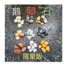 天然白色南海石材批发市场直供石头白玉石光滑圆润纯白砾石小白石