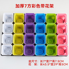 推荐24孔多肉花盆塑料托架搬运神器小黑方加厚彩方育苗盆套餐特惠