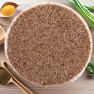 Fine Fescue Grass Seeds, No Pruning, Dwarf Courtyard High-End Lawn Real Grass Seeds, All-Season Green Cold-Resistant and Drought-Resistant Turf Seeds
