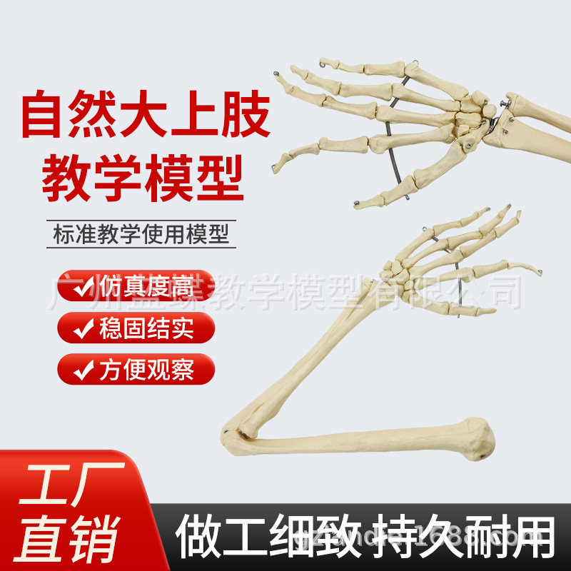 ����ֱ�����������֫�� �Źؽ� ϥ�ؽڳ߹���� ���ȹ� �ֱ۹�ͷ