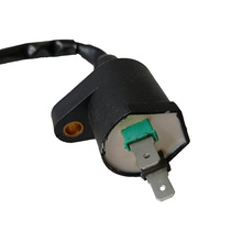 ԽҰĦ�г�ATVɳ̲�����峵GY6 50 125 150CC��ѹ��CDI�����Ȧ