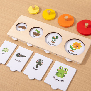 Montessori Teaching Aids Life Growth Cycle Matching Puzzle Logical Thinking Training Educational Toys for Primary and Secondary Classes Kindergarten