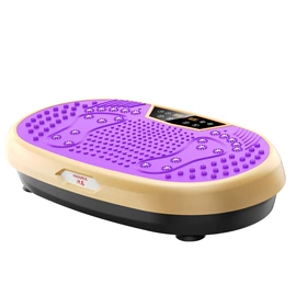 甩脂机;健腹器;腿部训练器/滑行垫