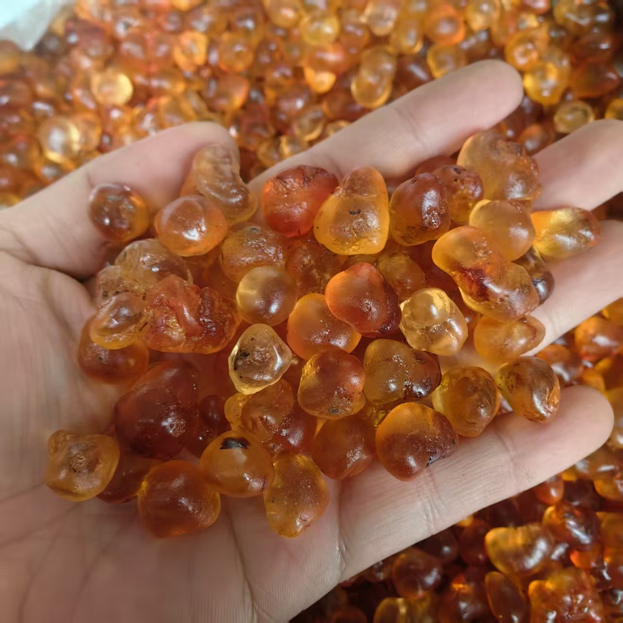 Large Granule Peach Gum Tao Jiao Dried Resin 500g Natural Culinary Herbal Ingredient key features