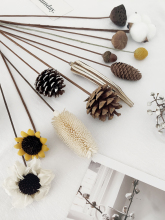 insWtȻɻL滨͏db[ɹ޻[O