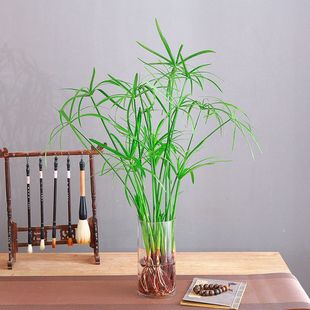 ˮ���L܇��ˮ��ֲ���D�\���҃ȿ͏d�������ҾW�t�������������ˮ