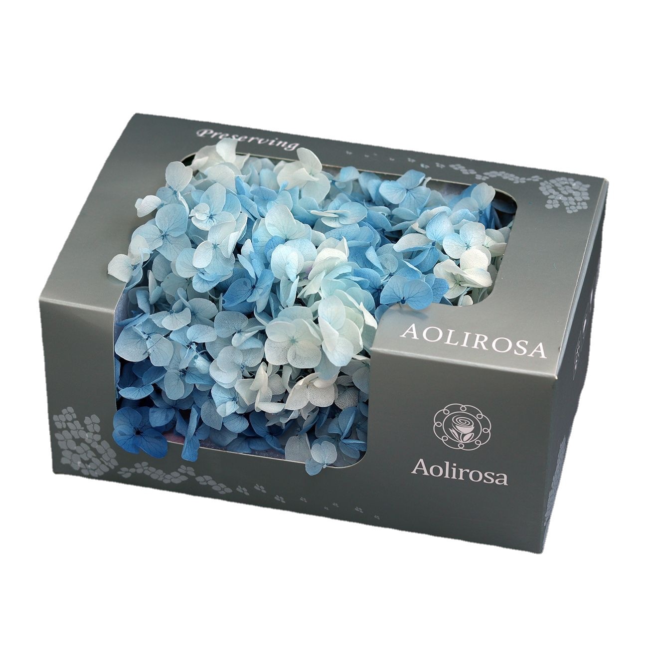 Gradiente de grado A Anna Hortensia flor eterna 20g Hortensia en caja flores preservadas flores secas Yunnan fábrica al por mayor