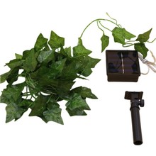 �羳���N����G�~led�~�������Ց���ͥԺ�b������ٗl�����l