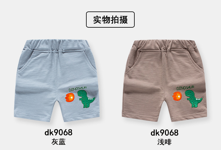 dk9068_07.jpg