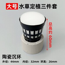 �¿��̖ˮ�ݶ�ֲ������ˮ�ݹ̶��մɭhˮ�ݳ�ˮ�̶��h��ֲ�@