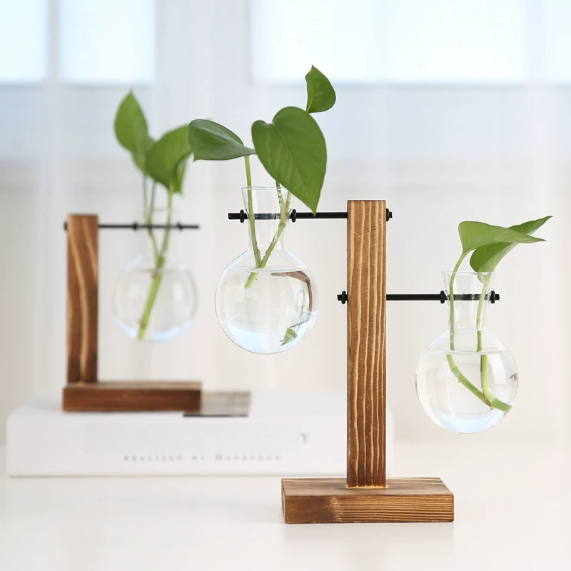 Creative transparent fresh modern decorations for living room