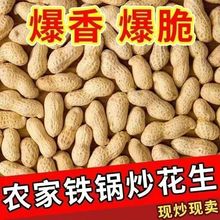 农家铁锅炒花生原味新货带壳炒熟花生现炒净重花生米坚果年货批发