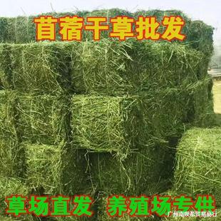 50kg Domestic Alfalfa Hay for Cattle, Sheep, Horses, Milk, Milk, Goat Grass, Alpaca, Renladezhhu