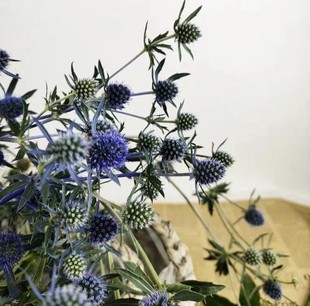 Lover's Fruit Flowers Niche Fruit Flowers Can Be Used as Dried Flowers for Home Hydroponic Cut Flowers Yunnan Kunming Straight Hair
