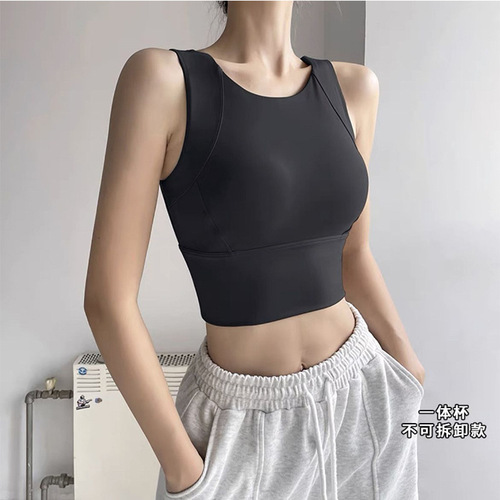 Professional Cluster Sports Bra for Women Anti-Sag Fitness Training Quick-Drying Running High-Intensity Shock Absorbing Yoga Backless Bra for Women