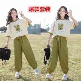 女童夏装套装2024新款网红T恤中大童时髦上衣儿童夏季短袖两件套