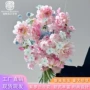 花店节日庆典小雏菊永生花
