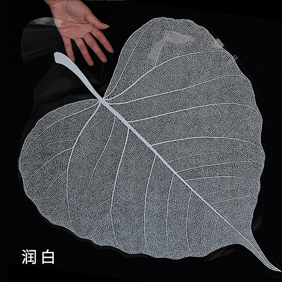 Una hoja de bodhi hoja transparente ramo de flores en papel floral material de embalaje de flores de papel de forma especial florista materiales de flor al por mayor