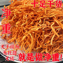 新货净重虫草花干货虫草花新鲜冬虫夏草野生煲汤食材