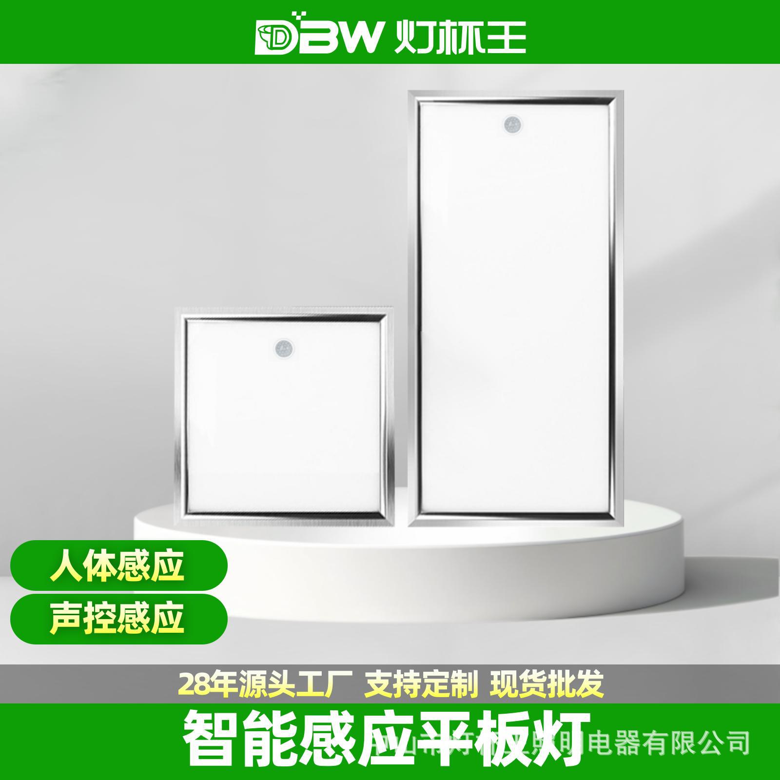 Luz LED de Panel Plano con Sensor de Cuerpo Humano, Control por Voz y Radar, 300x300x600, para Cocina, Baño, Pasillo, Sensor de Radar