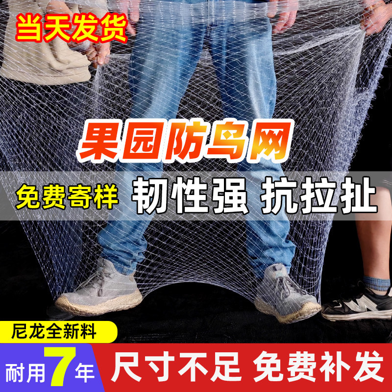防鸟网果树果园大棚尼龙线防乌网阳台鱼塘樱桃树葡萄窗户涤纶天网