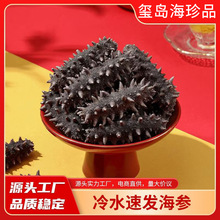 厂家直发速发海参免煮冷水速发辽参干货50g批发野生刺参天然冻干