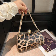 2025新款豹纹晚宴包热销欧美时尚链条单肩包复古潮流斜跨盒子包