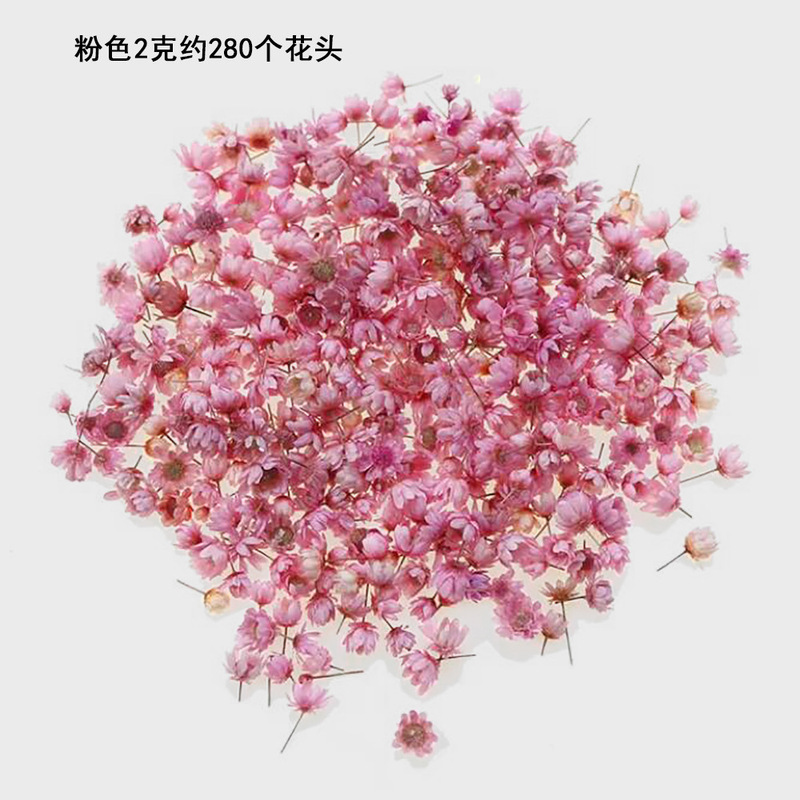 小さな星の花の頭diyのドリップの水晶のボールは装飾のアクセサリのネイルの材料のカラーの手作りの本当の花のドライフラワーを埋めます。|undefined