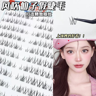 10 rows of large-capacity wind-blown fairy false eyelashes lazy novice natural photogenic single cluster segmented eyelashes