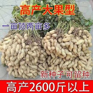���߮a�����N�ӡ����������·N�ӱ�Ƥ���찫�U�r��Ժ�N�����r