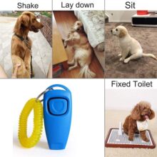 ���R�d���ﹷ��ӖȮ���ڳ�����月A���� ���{��Ȯ���L�������