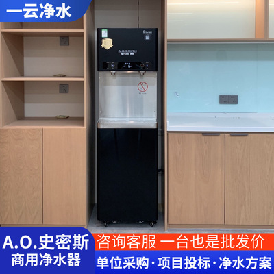 [史密斯商用净水器 步进式大热水量BZR1000-T801过滤饮水机设备]